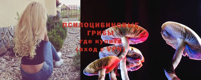 Псилоцибиновые грибы Magic Shrooms  Мурманск 